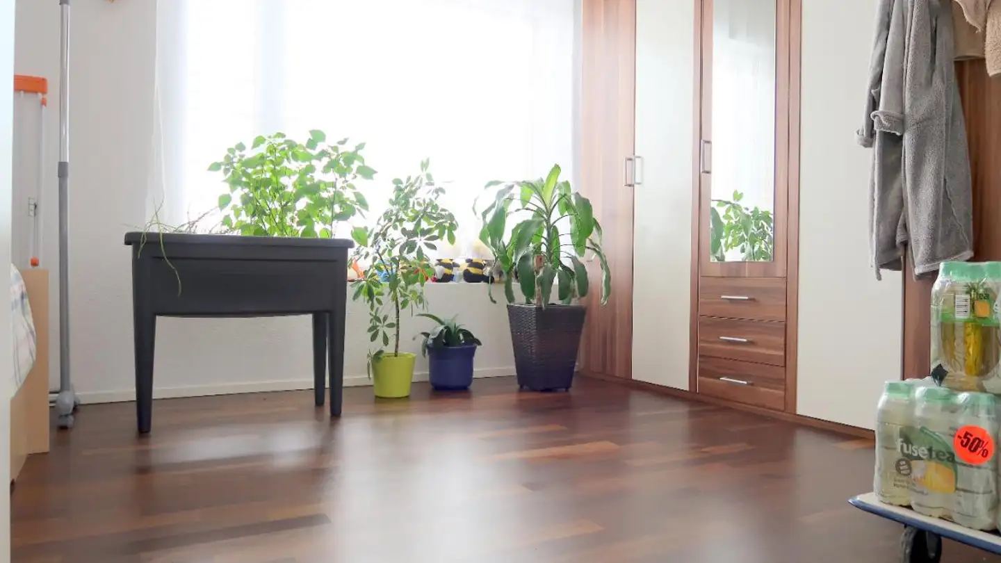 Apartment for rent - Plattenstrasse 23, 5737 Menziken - Photo 3