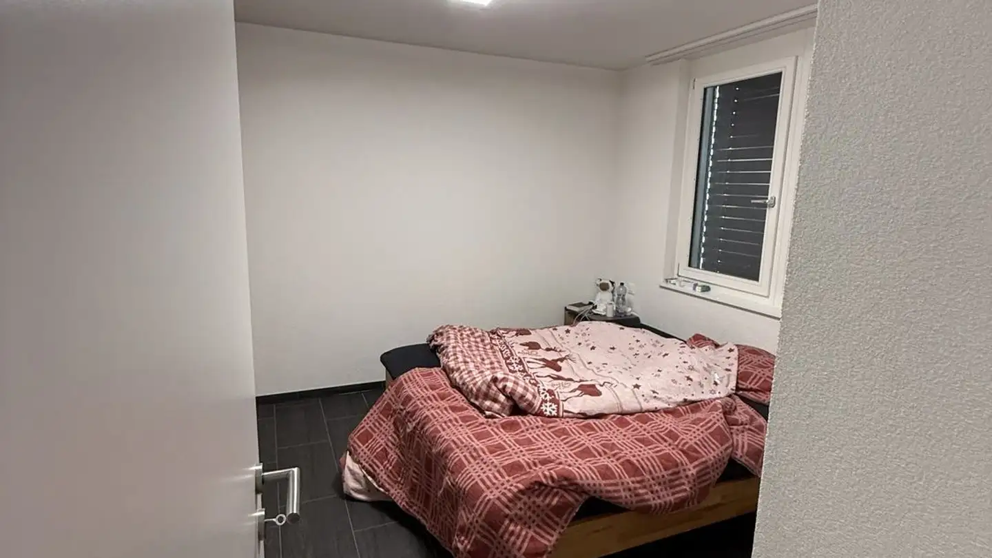 Appartamento in affitto - Niederschönthalstrasse 2, 4402 Frenkendorf - Foto 4