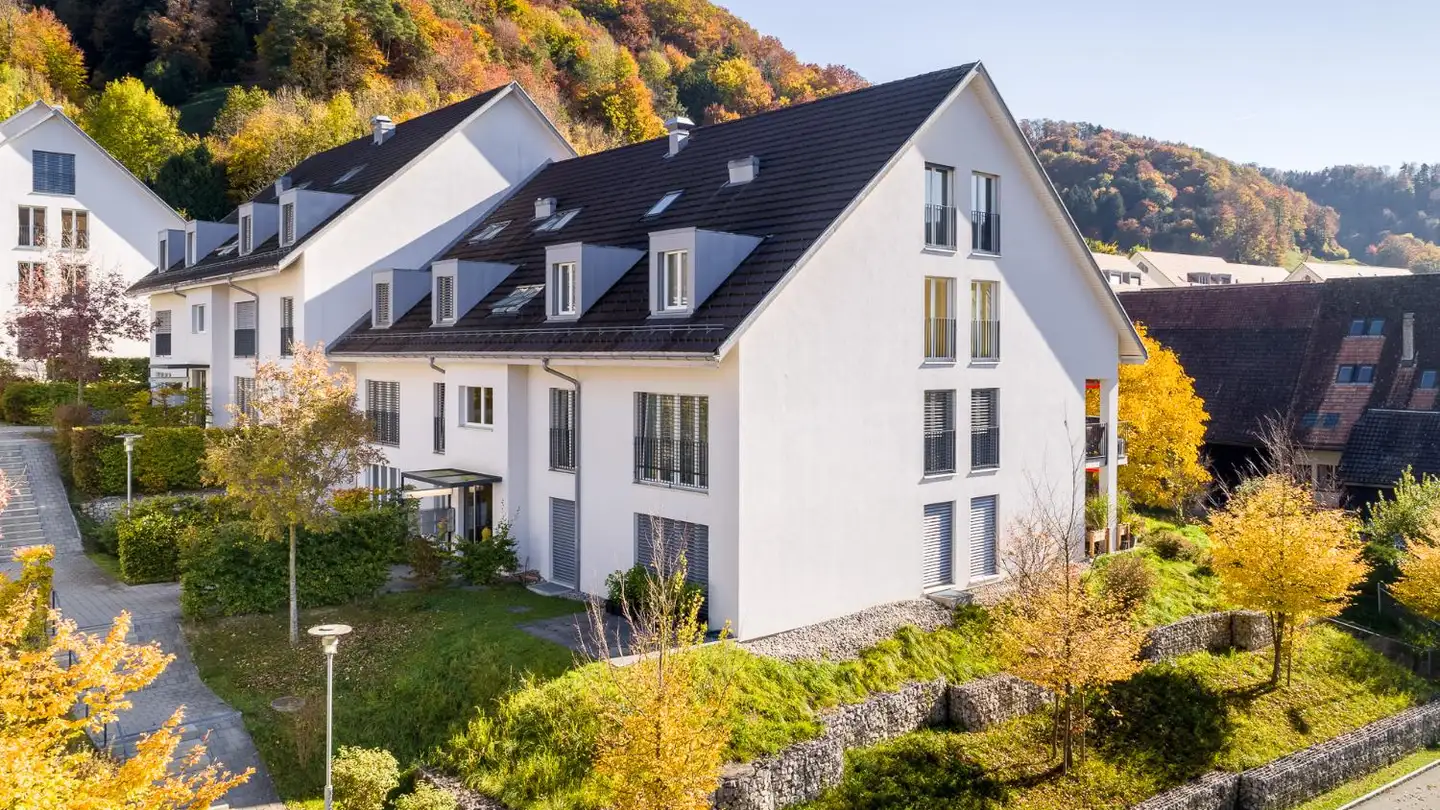 Duplex for rent - 8143 Stallikon