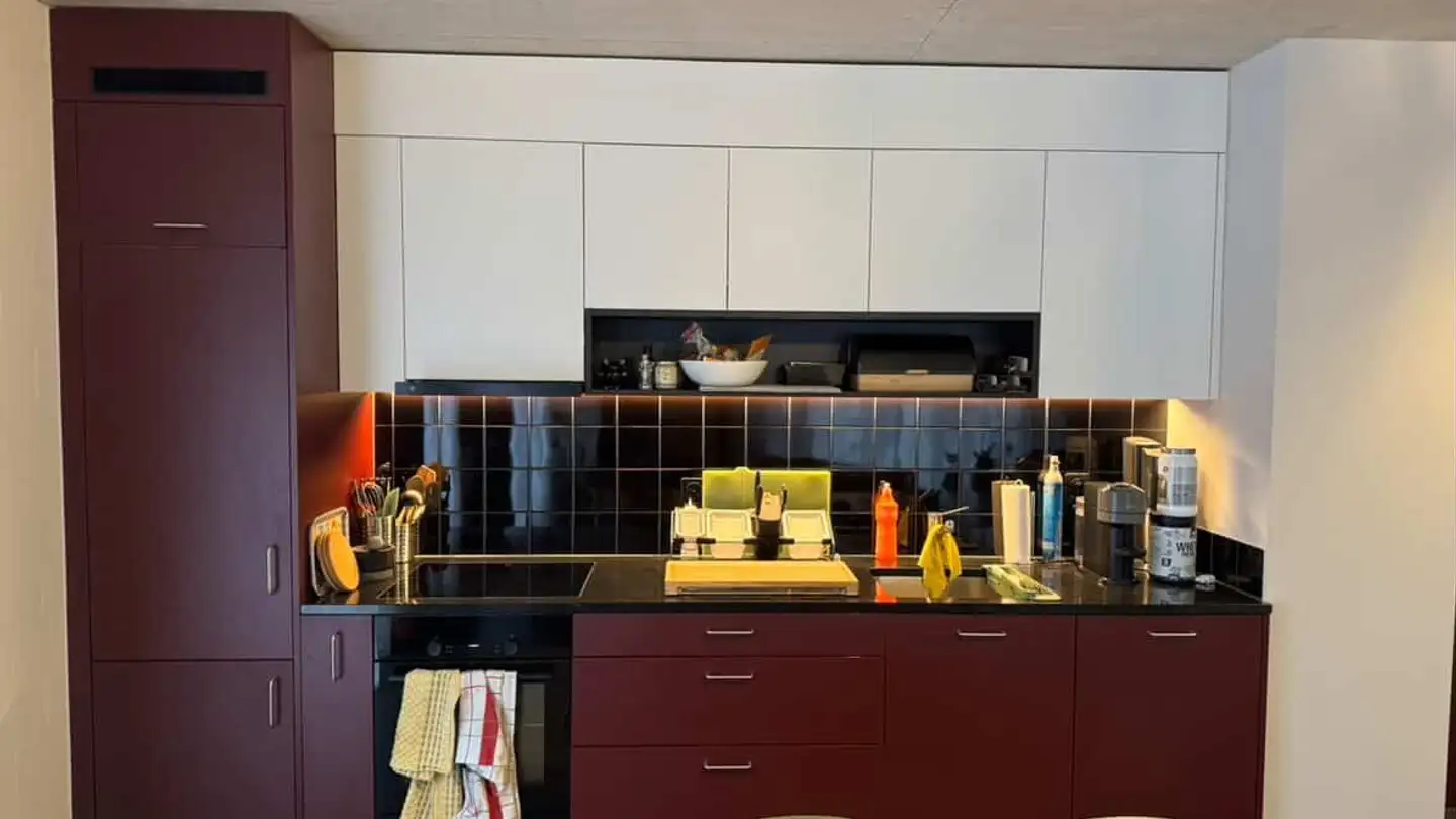 Apartment for rent - 8047 Zürich - Photo 3