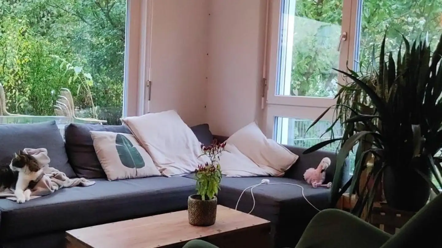 Zimmer mieten - 5200 Brugg AG
