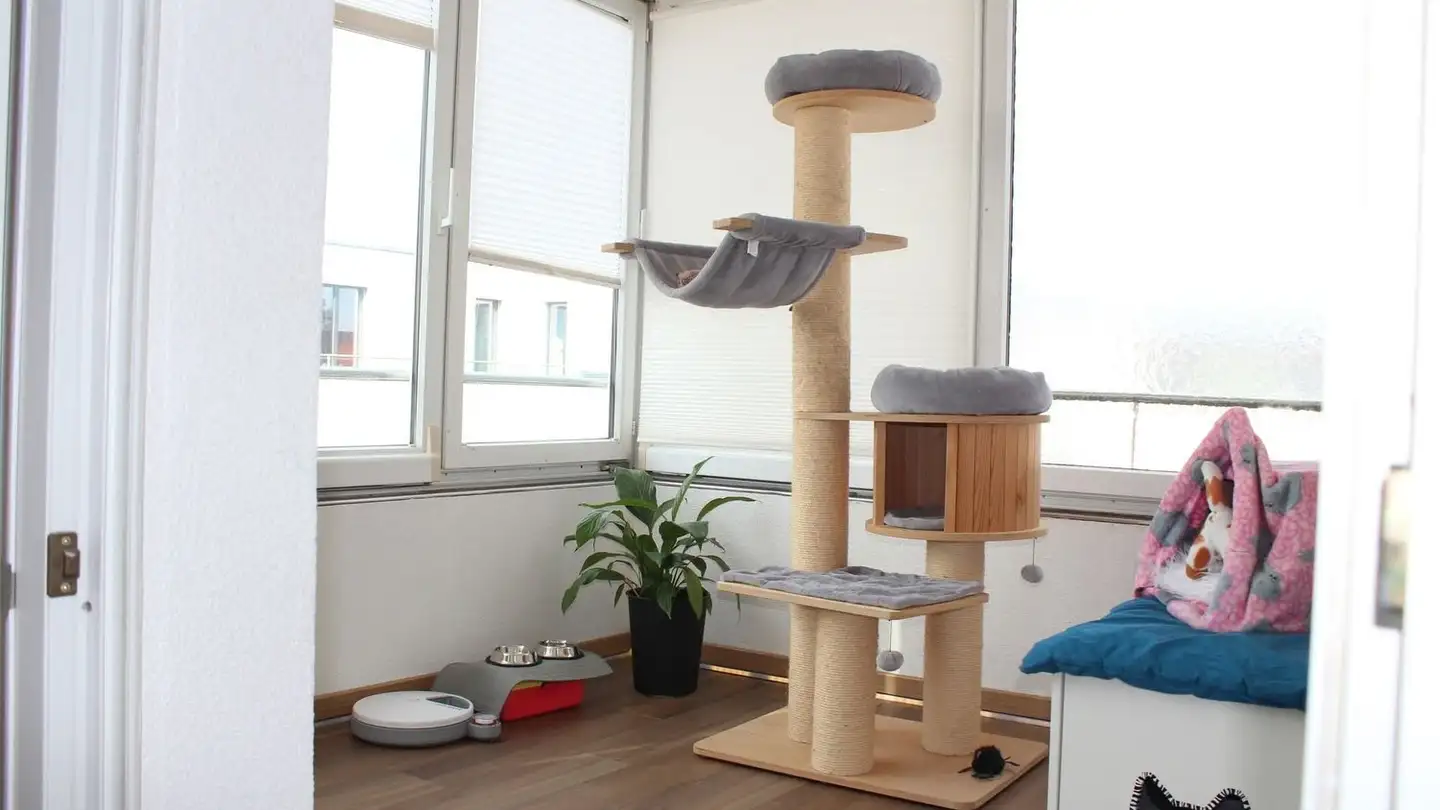 Appartamento in vendita - 9443 Widnau - Photo 3