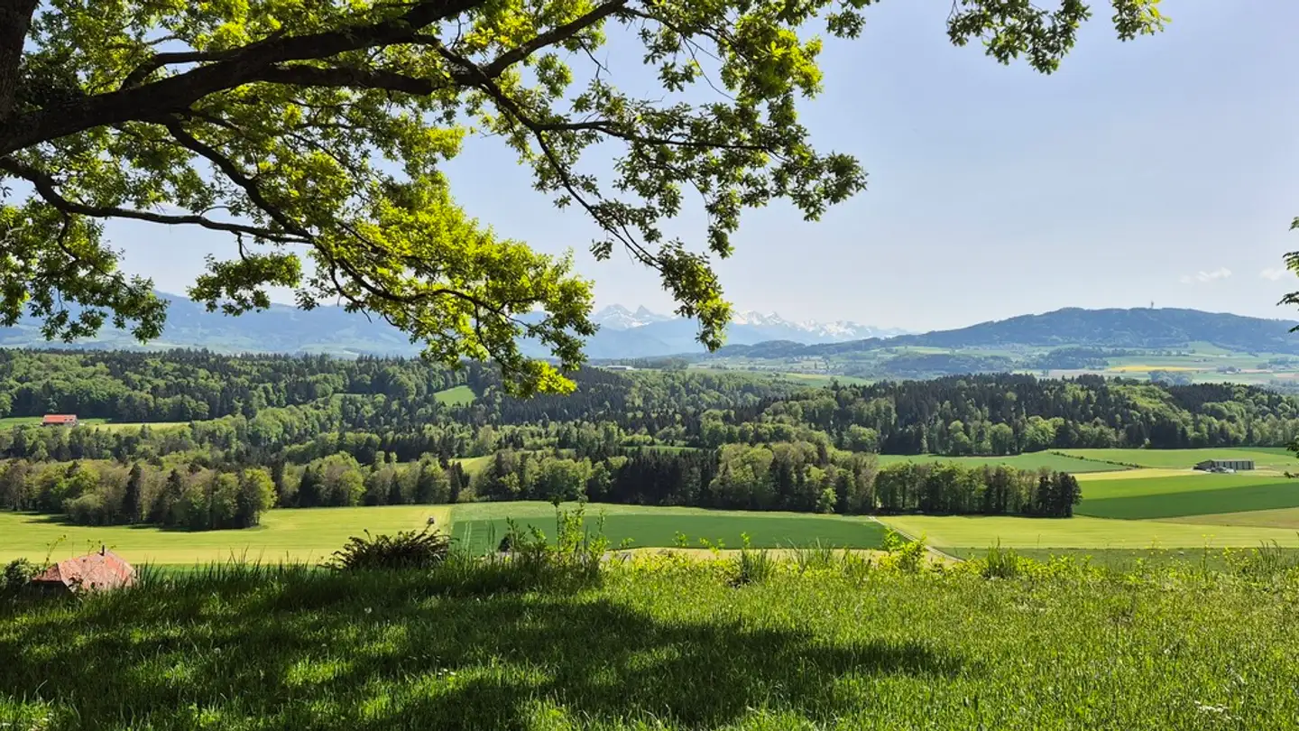 Single house for sale - 1740 Neyruz FR - Photo 4