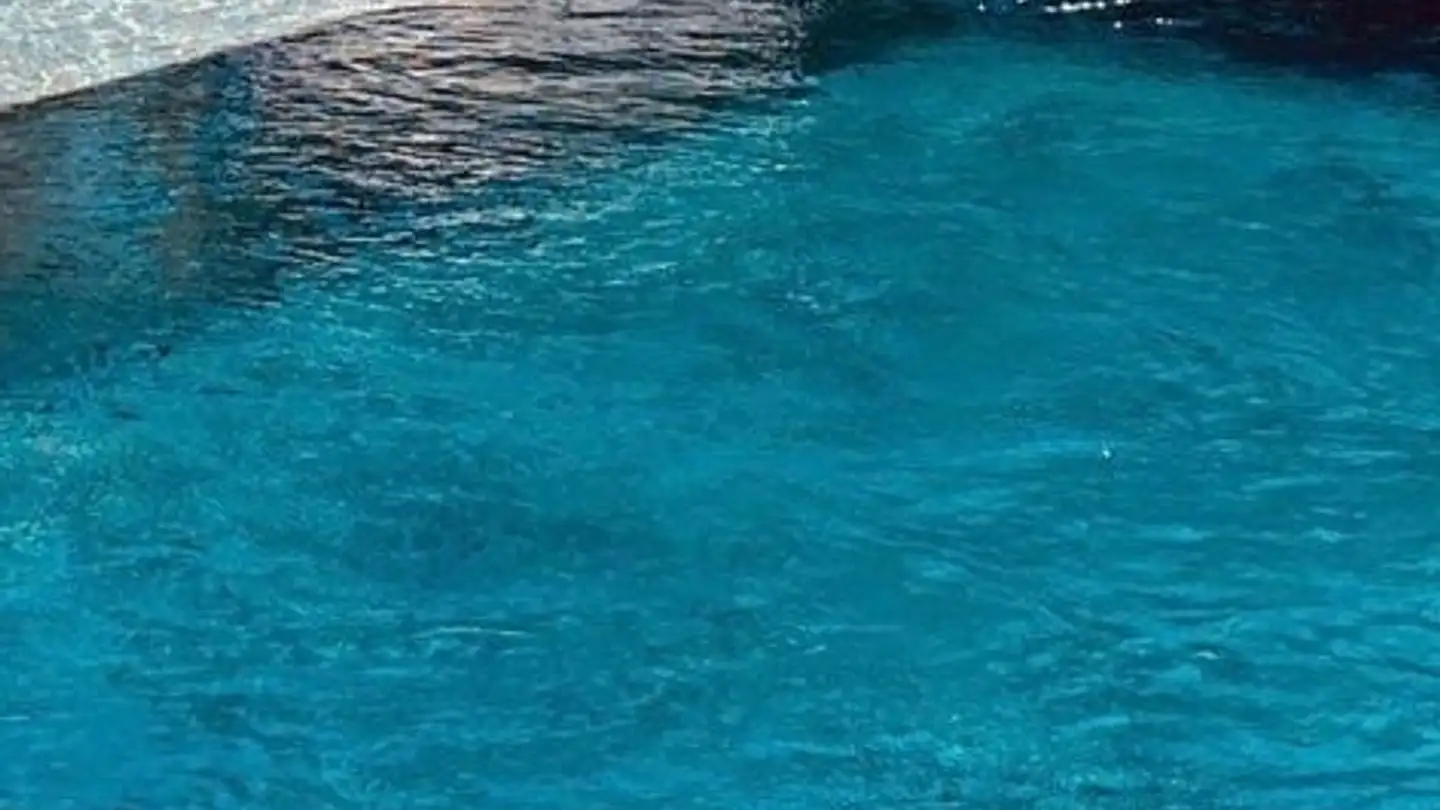 Single house for sale - 1274 Grens - Photo 2