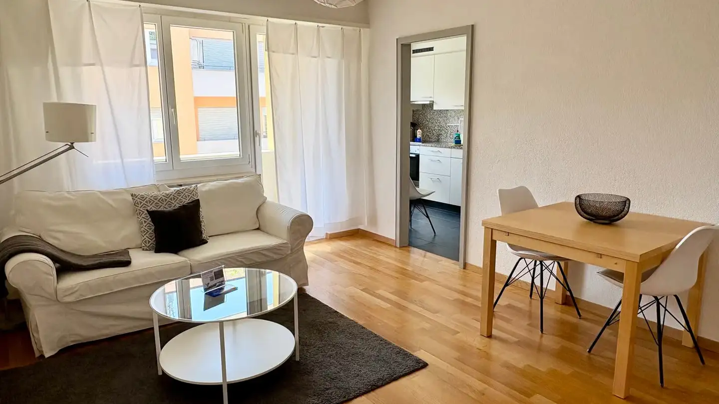 Furnished apartment for rent - Herrengrabenweg 34, 4054 Basel