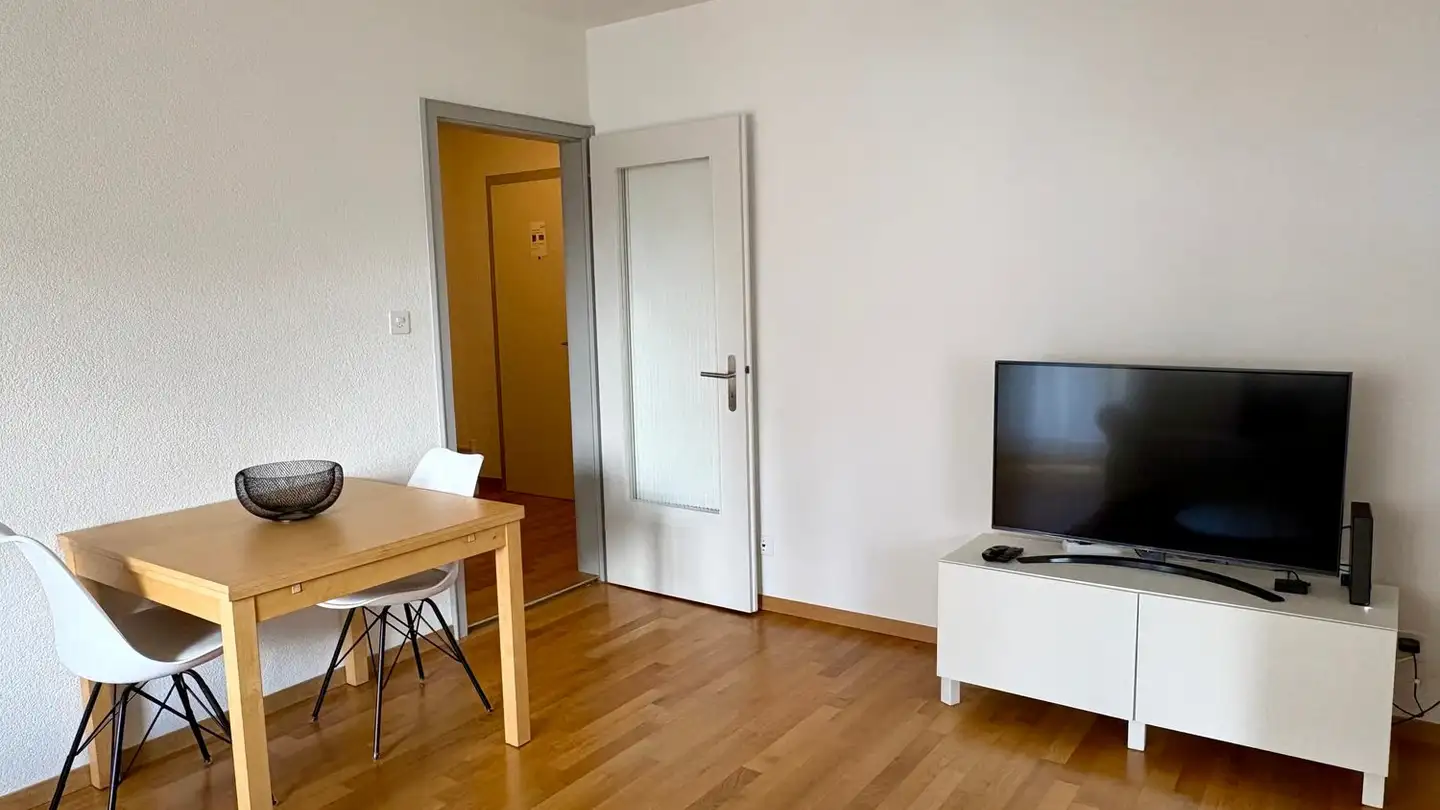 Furnished apartment for rent - Herrengrabenweg 34, 4054 Basel - Photo 3