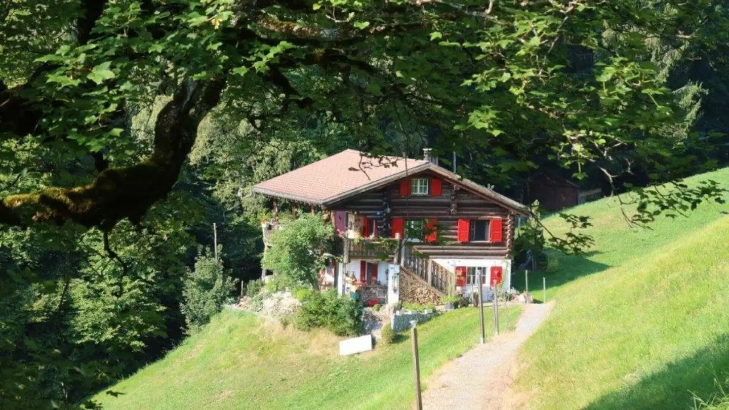 Maison individuelle à vendre - Hinterbergstrasse 17, 7232 Furna