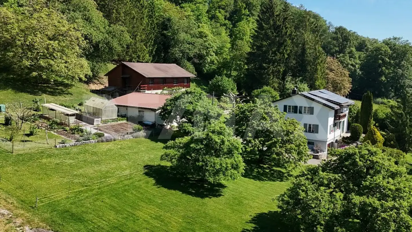 Einfamilienhaus kaufen - 5330 Bad Zurzach - Foto 3