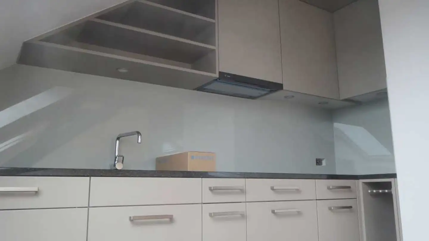 Duplex à louer - Im Grüt 46a, 8902 Urdorf - Photo 4