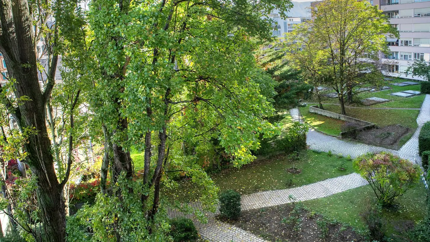 Wohnung mieten - Rue Rothschild 68, 1202 Genève - Foto 2