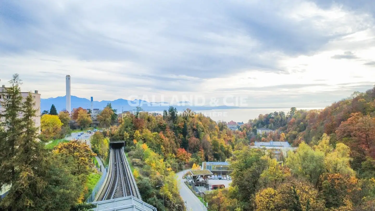 Appartamento in affitto - Avenue De La Sallaz 39, 1010 Lausanne - Photo 2