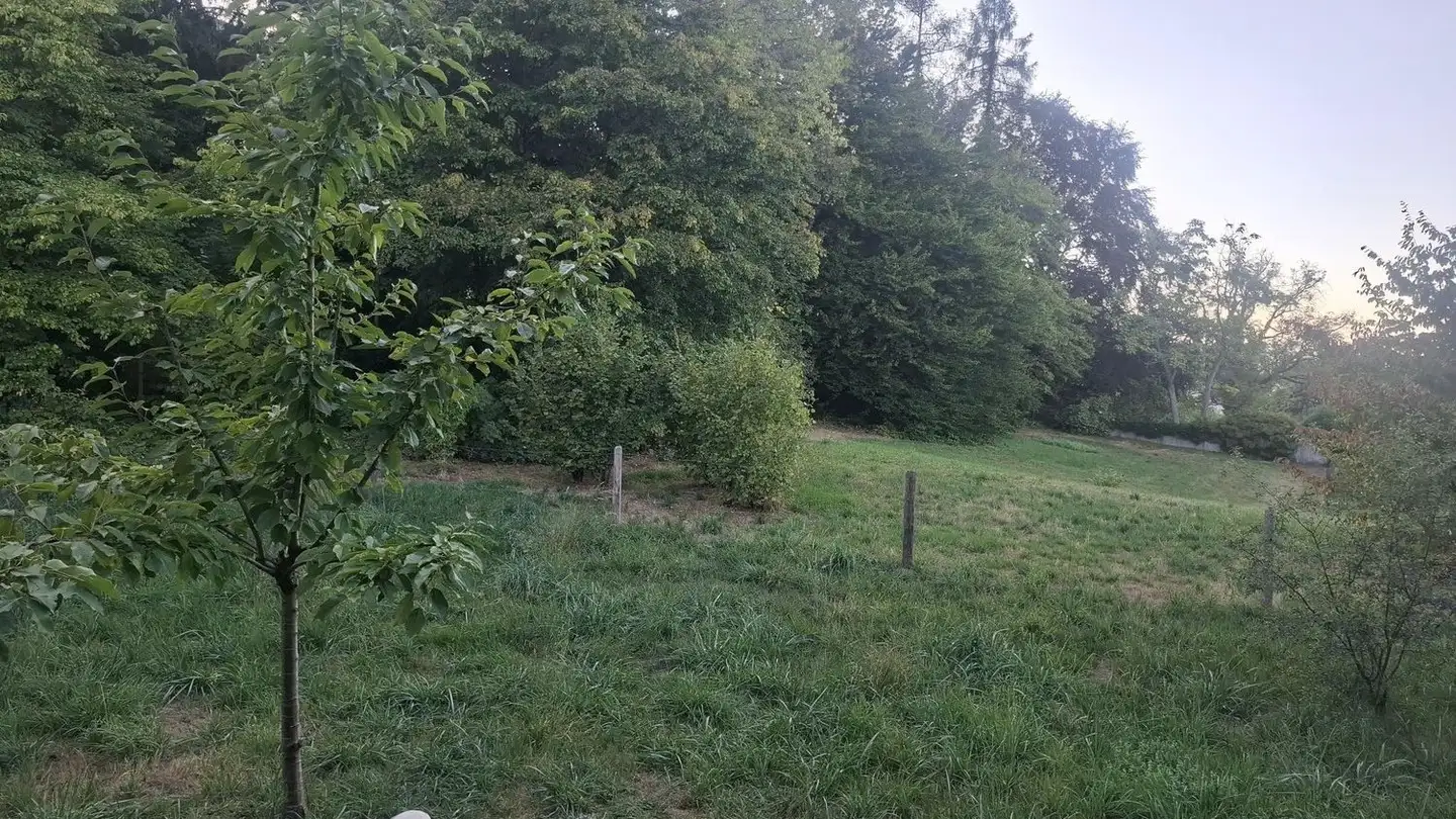 Chambre à louer - 8810 Horgen - Photo 2