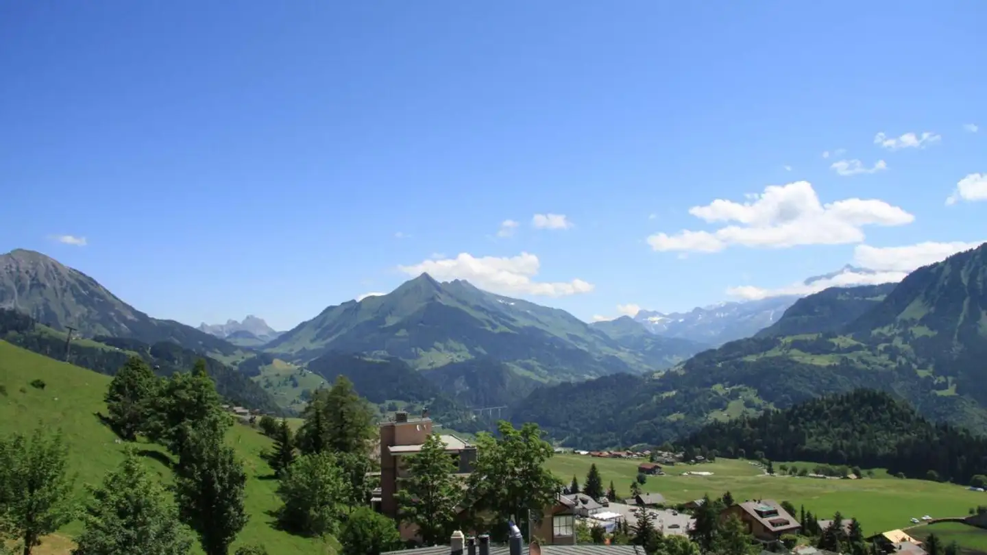 Furnished apartment for rent - Rue Du Commerce, 1854 Leysin - Photo 4