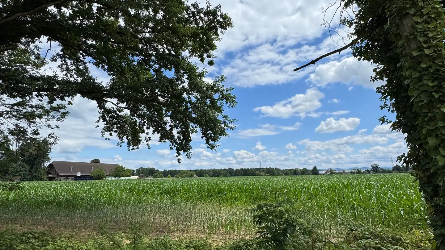 Apartment for rent - Derendingenstrasse 18a, 4562 Biberist - Photo 4