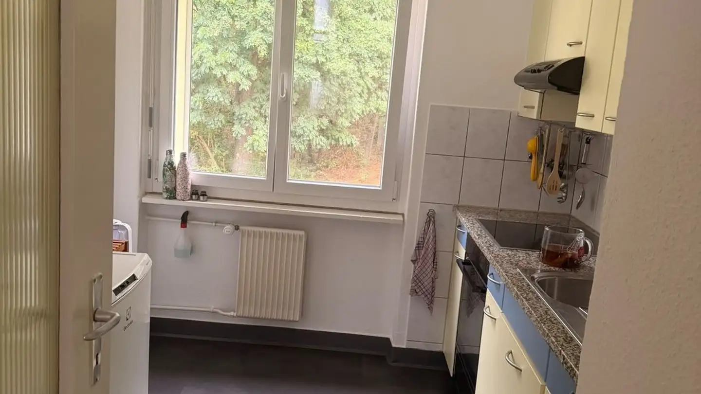 Single room for rent - Bellevuestrasse 44, 6280 Hochdorf - Photo 4