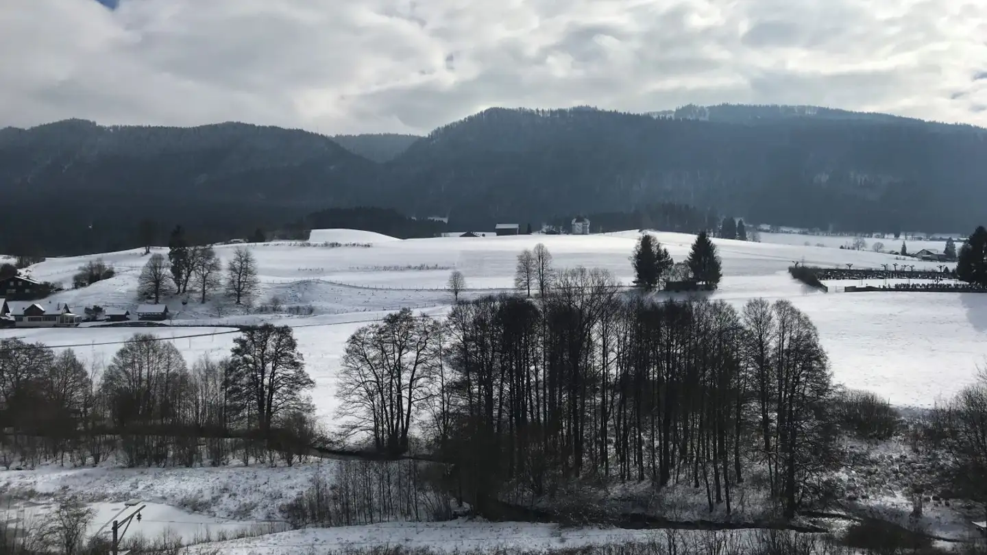 Apartment for rent - Chemin de l'Orgerie 1C, 2710 Tavannes - Photo 2