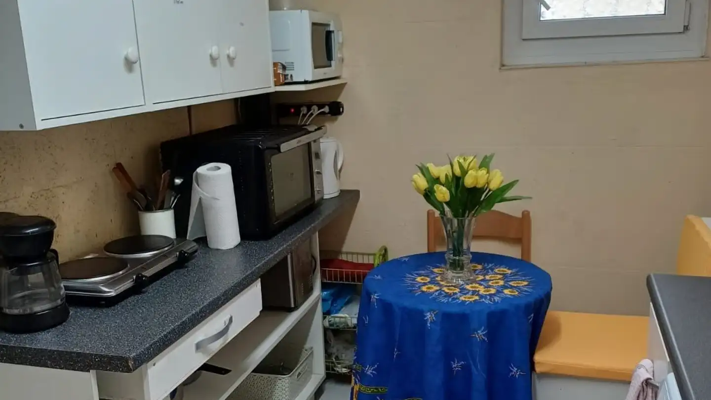 Single room for rent - Chemin De La Charrue 3, 1218 Le Grand-Saconnex - Photo 4