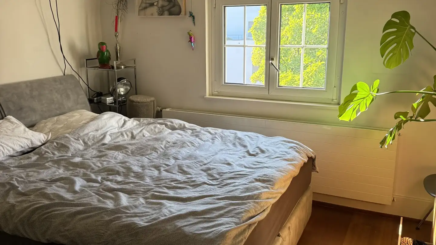 Appartamento ammobiliato in affitto - 4310 Rheinfelden - Foto 3