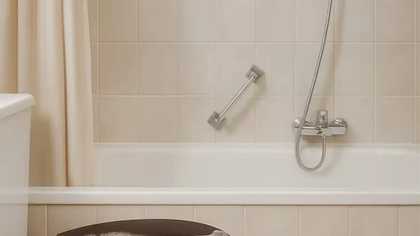 Stanza singola in affitto - Route De La Gemmi, 3960 Sierre - Foto 2