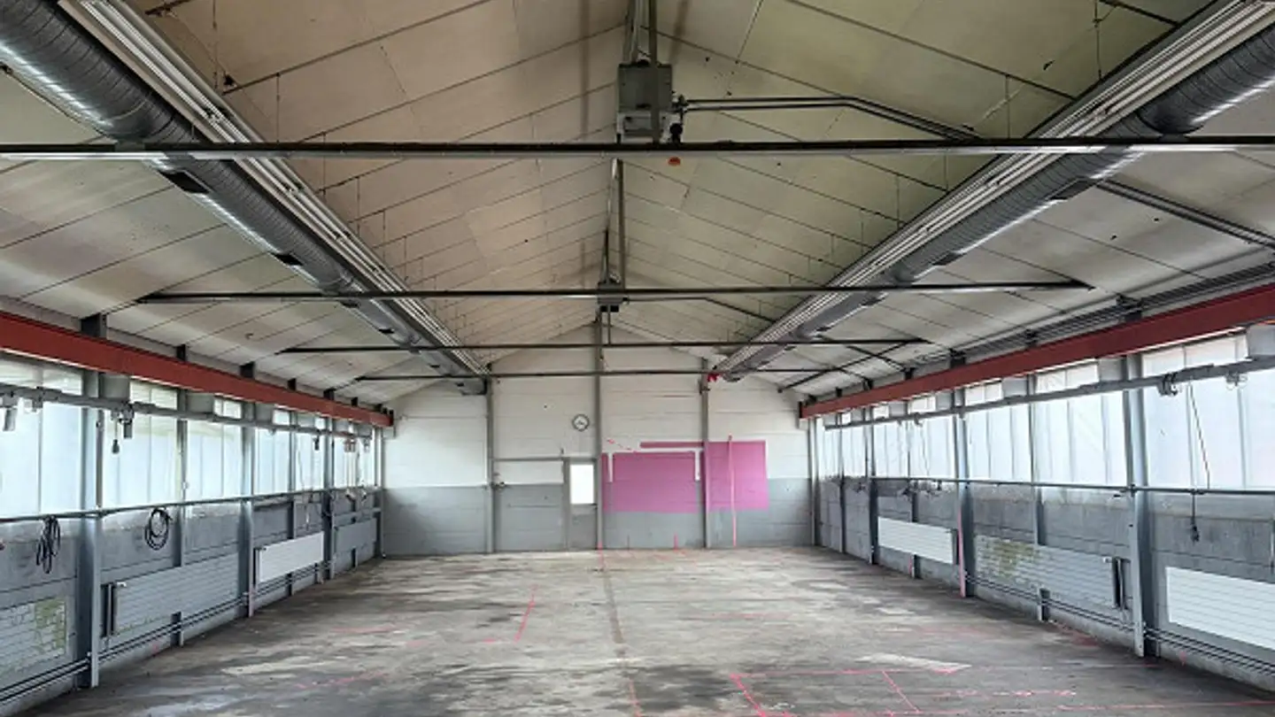 Commercial for sale - Hauptstrasse 97b, 8264 Eschenz - Photo 2