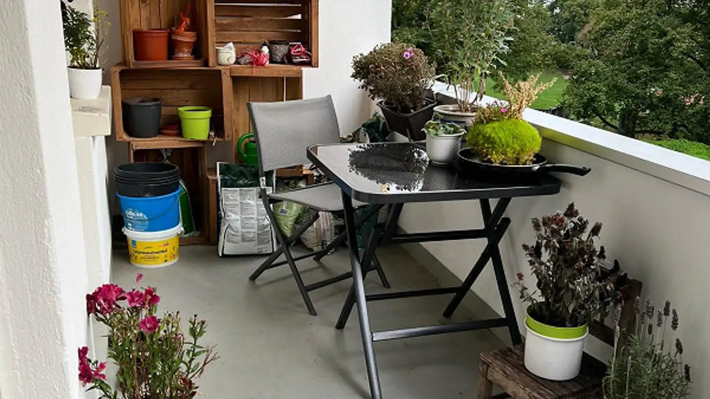 Wohnung mieten - Hegenheimerstrasse 173, 4055 Basel - Foto 2