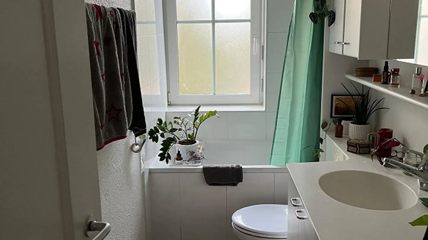 Wohnung mieten - Hegenheimerstrasse 173, 4055 Basel - Foto 4