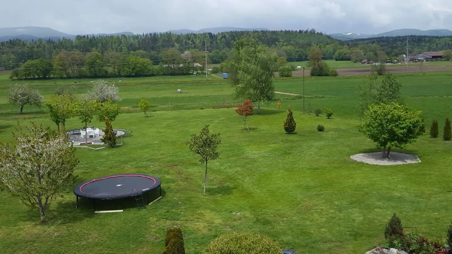 Appartamento in affitto - Kestenholzerstrasse 18, 4628 Wolfwil - Foto 3