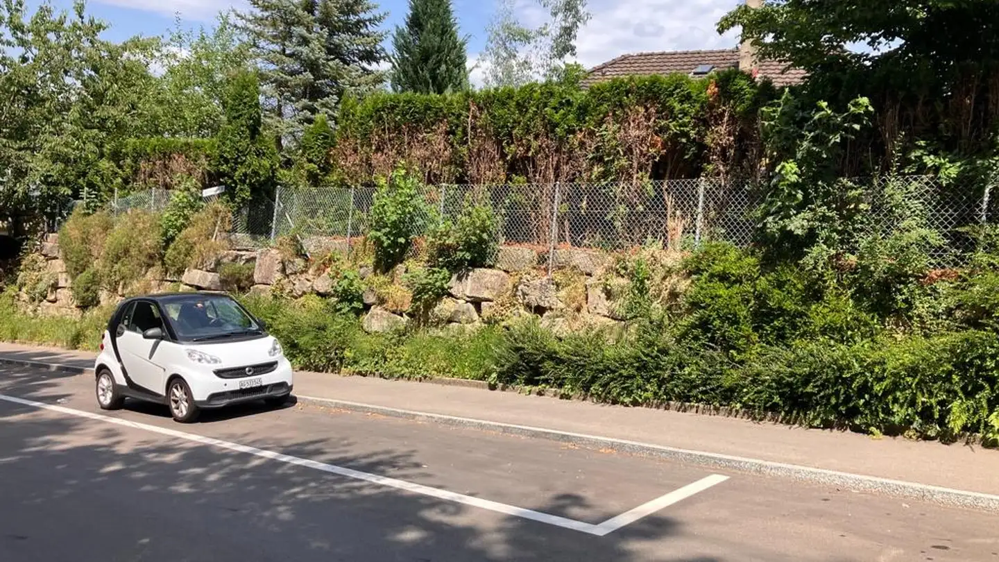 Commerciale in vendita - Buttenaustrasse 11, 8134 Adliswil