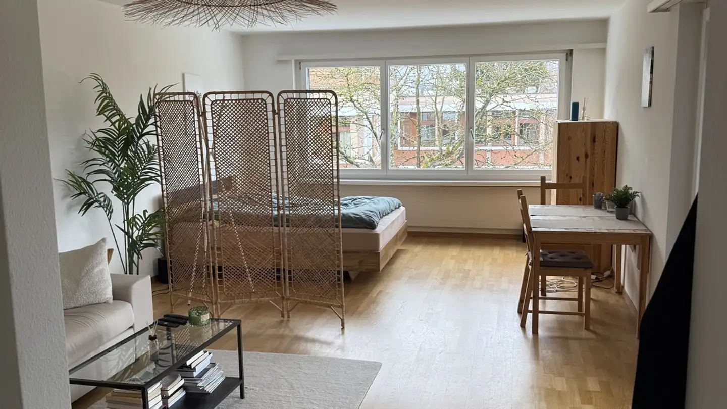 Appartement à louer - 8952 Schlieren