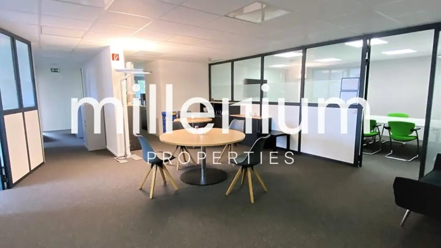 Gewerbe mieten - Route De Meyrin, 1217 Meyrin