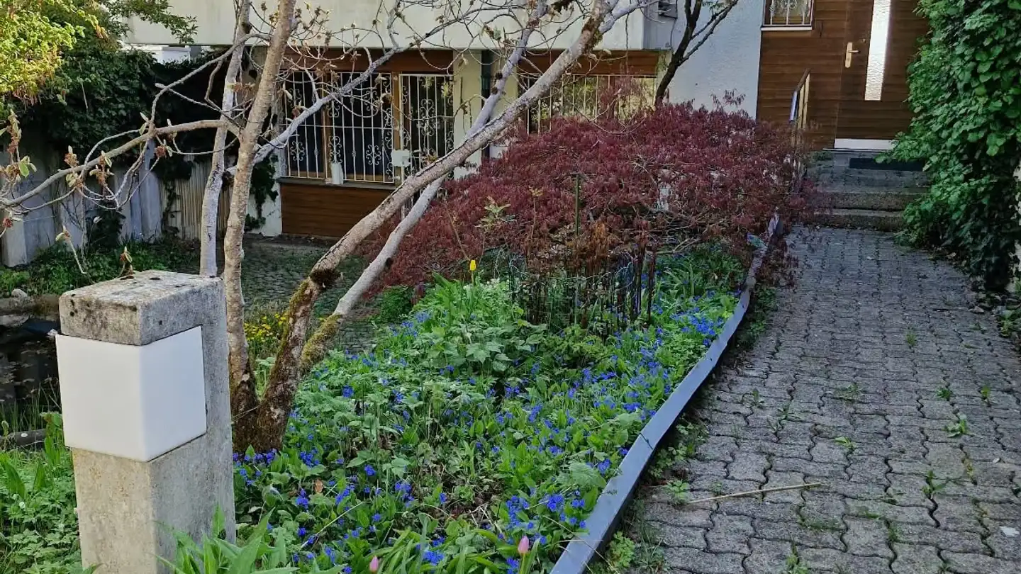 Maison en terrasse à vendre - Wassbergstrasse 47, 8127 Forch