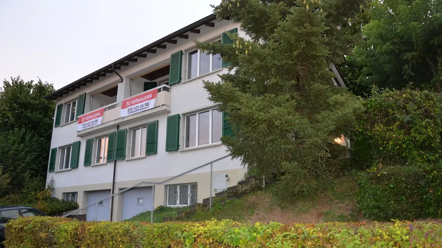 Maison individuelle à vendre - Haldenweg 11, 3250 Lyss