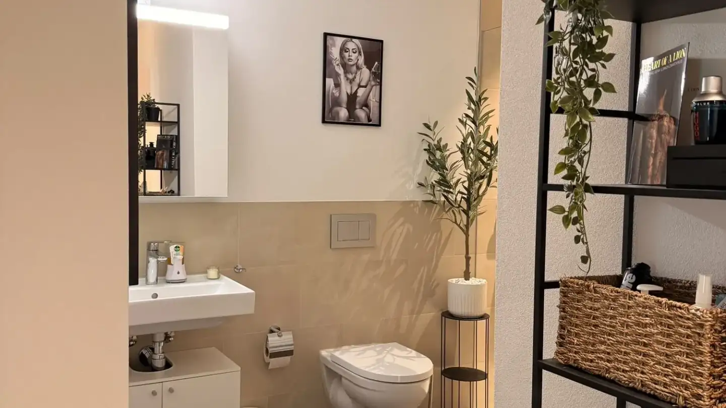 Wohnung mieten - Papiermühleweg 1, 6048 Horw - Foto 4