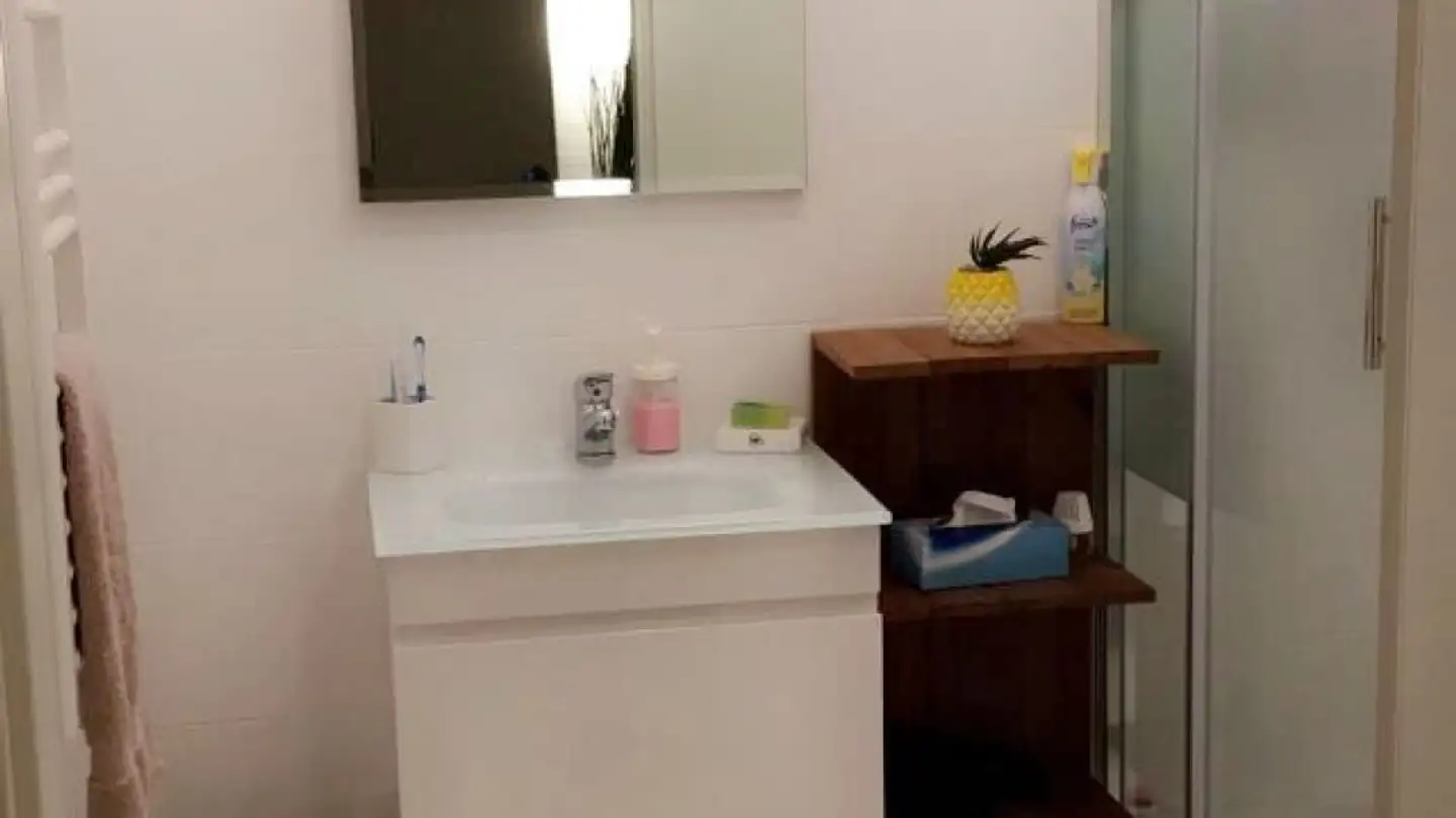 Studio in affitto - Route De Mont-Soleil 22, 2610 St-Imier - Photo 2