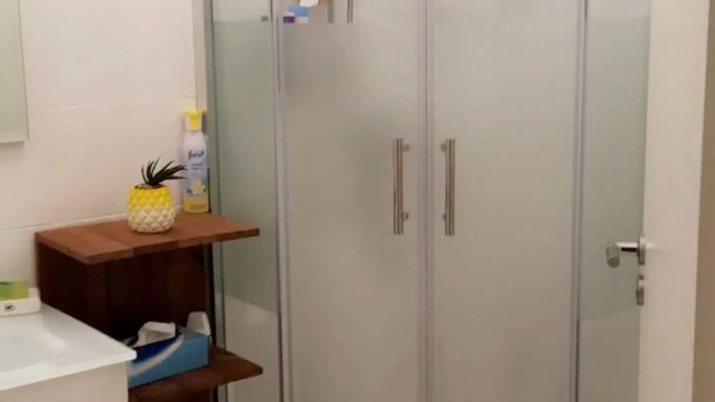 Studio in affitto - Route De Mont-Soleil 22, 2610 St-Imier - Photo 3