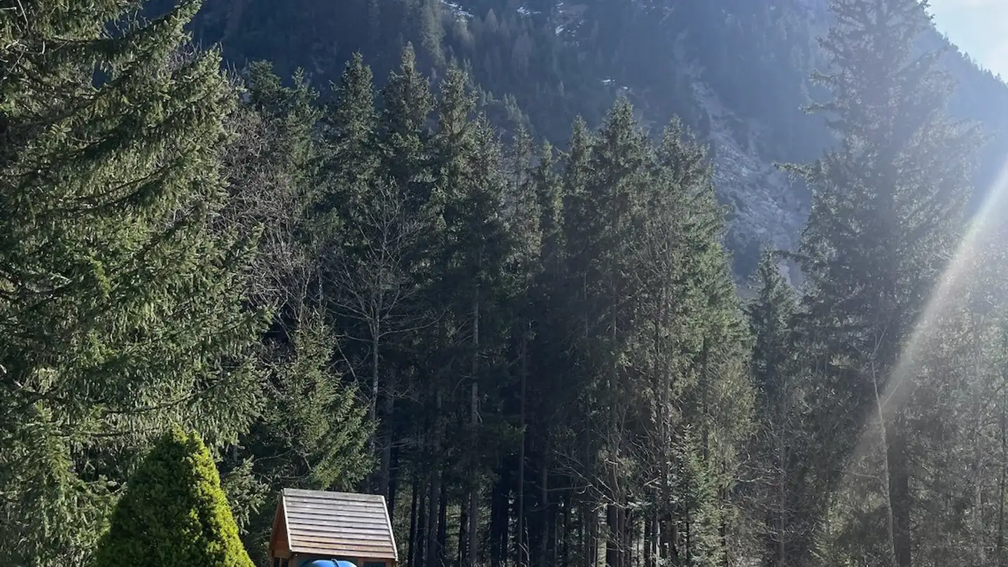 Single house for sale - Innergsteigstrasse 49, 3785 Gsteig b. Gstaad - Photo 4