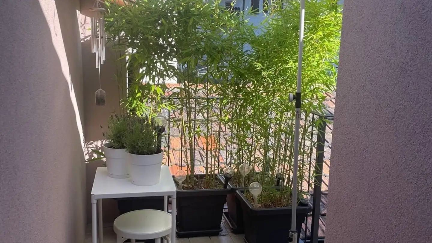 Appartamento in affitto - 6804 Bironico - Photo 3