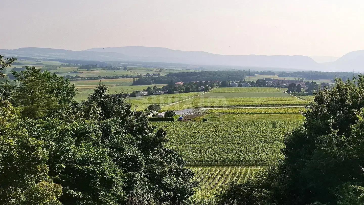 Single house for sale - 1206 Genève