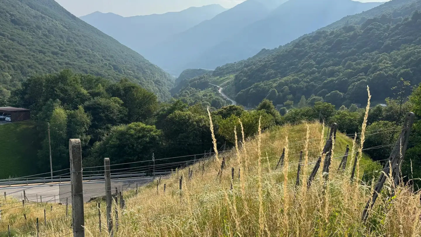 Constructible plot for sale - Via Camoghè, 6809 Medeglia - Photo 3