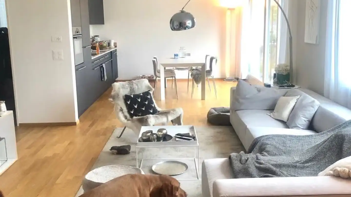 Attico in affitto - Bergstrasse, 8953 Dietikon - Foto 4