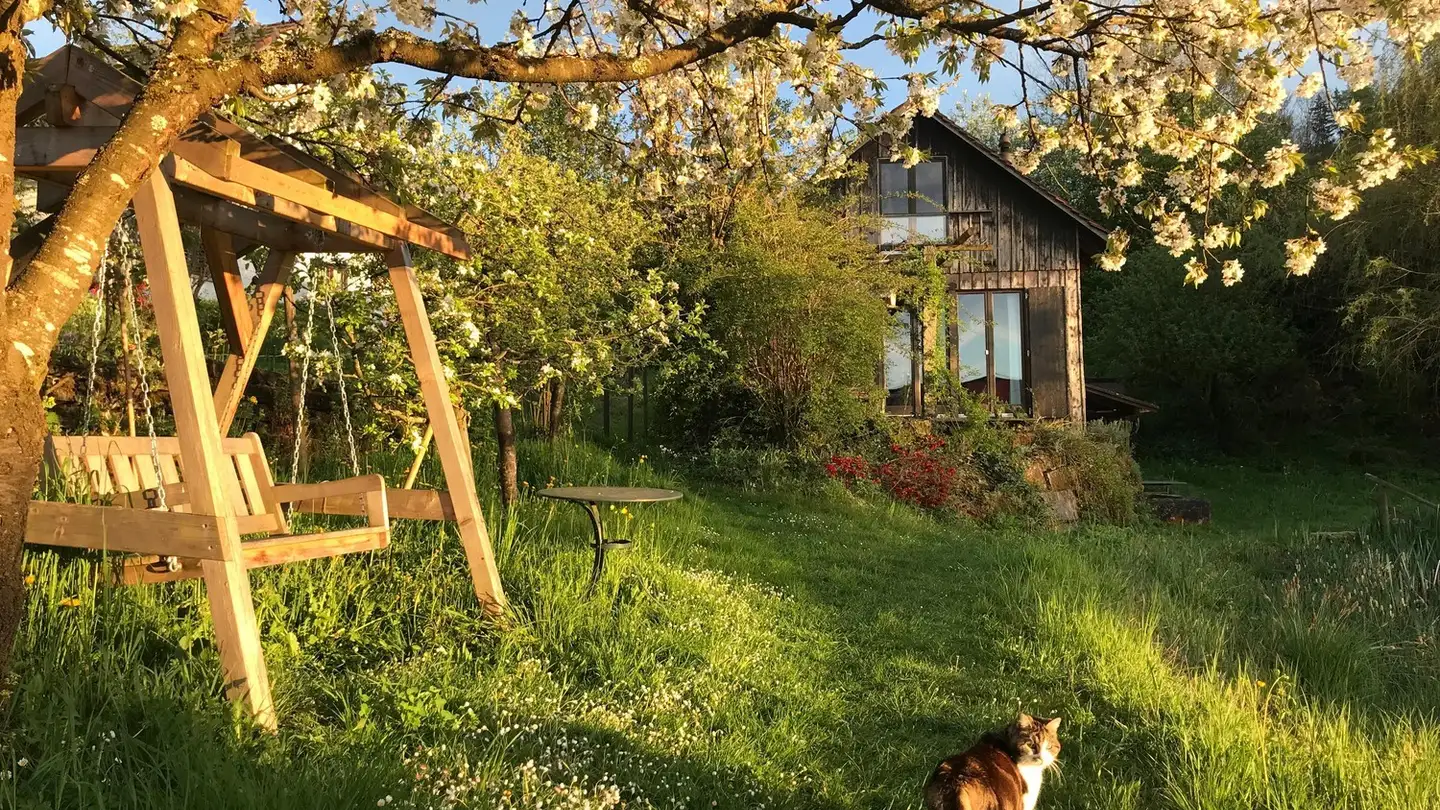 Wohnung mieten - 8352 Elsau - Foto 2