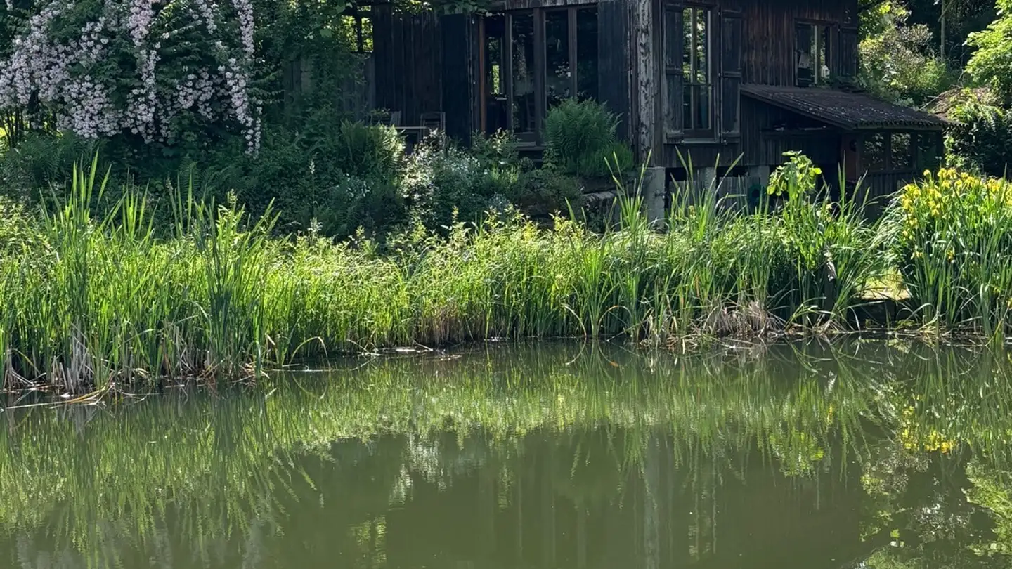 Wohnung mieten - 8352 Elsau - Foto 3