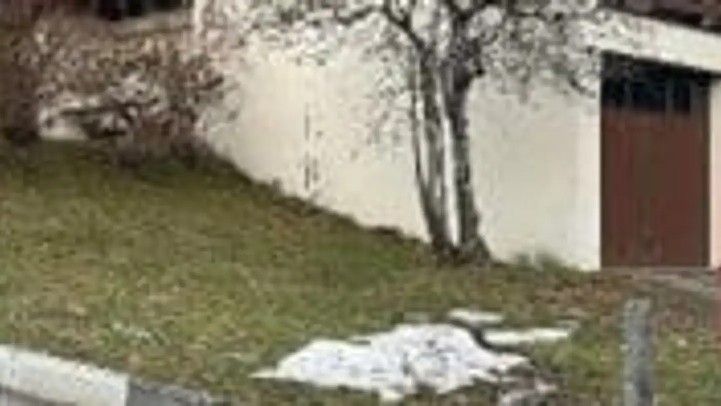 Single house for sale - Lochmühlestrasse 11, 9658 Wildhaus