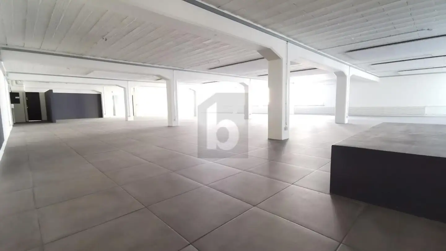 Industrial property for rent - 4052 Basel - Photo 2