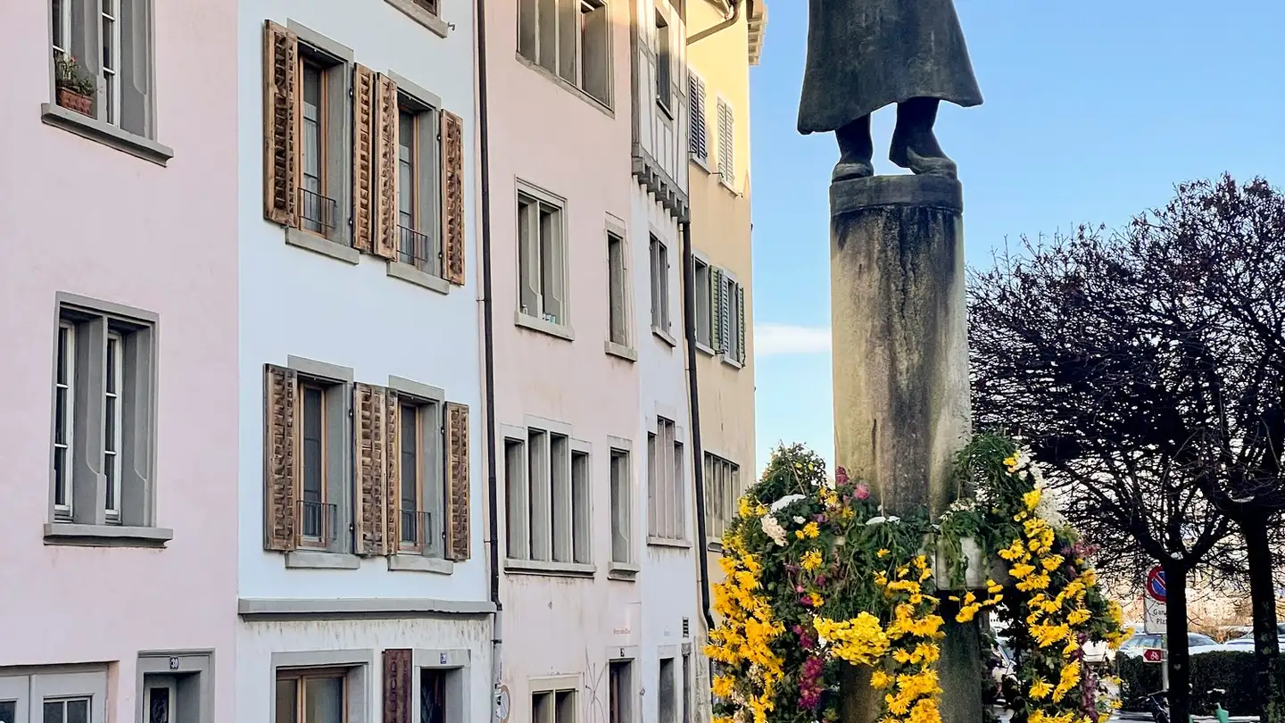 Commercial à louer - Moserstrasse 28, 8200 Schaffhausen