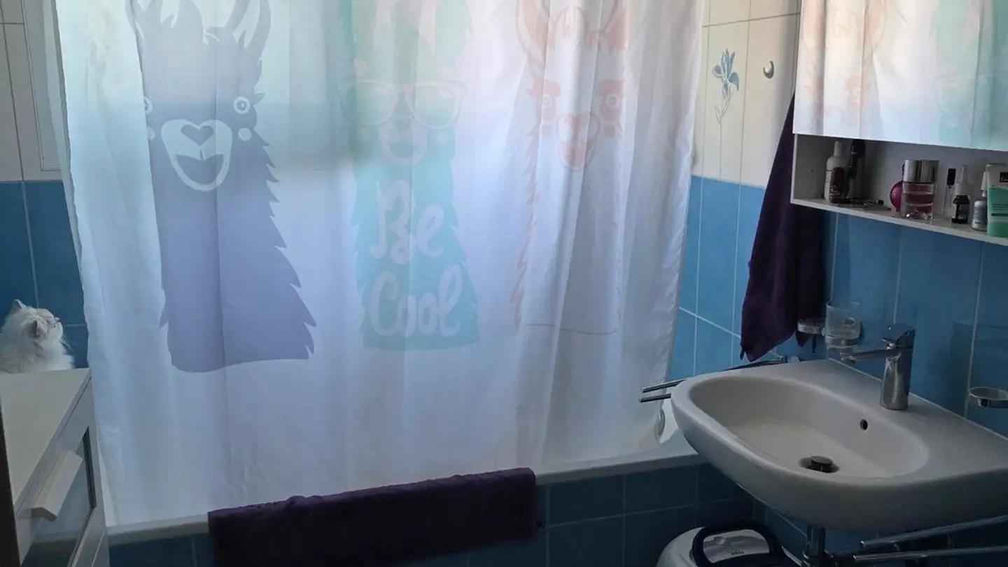 Appartement à louer - 1699 Pont (Veveyse) - Photo 4