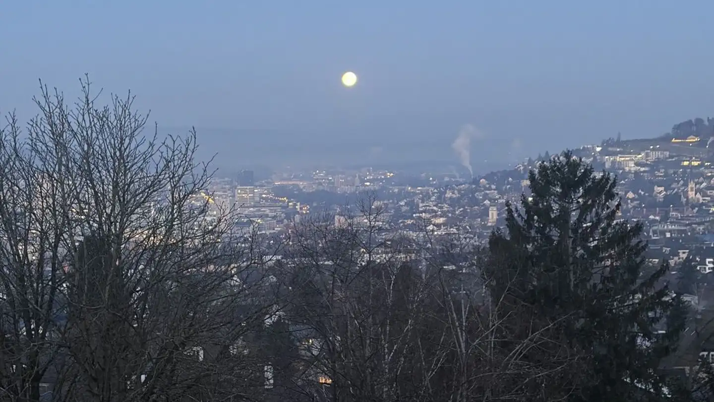 Appartement à louer - Hadlaubstrasse 131, 8006 Zürich - Photo 3