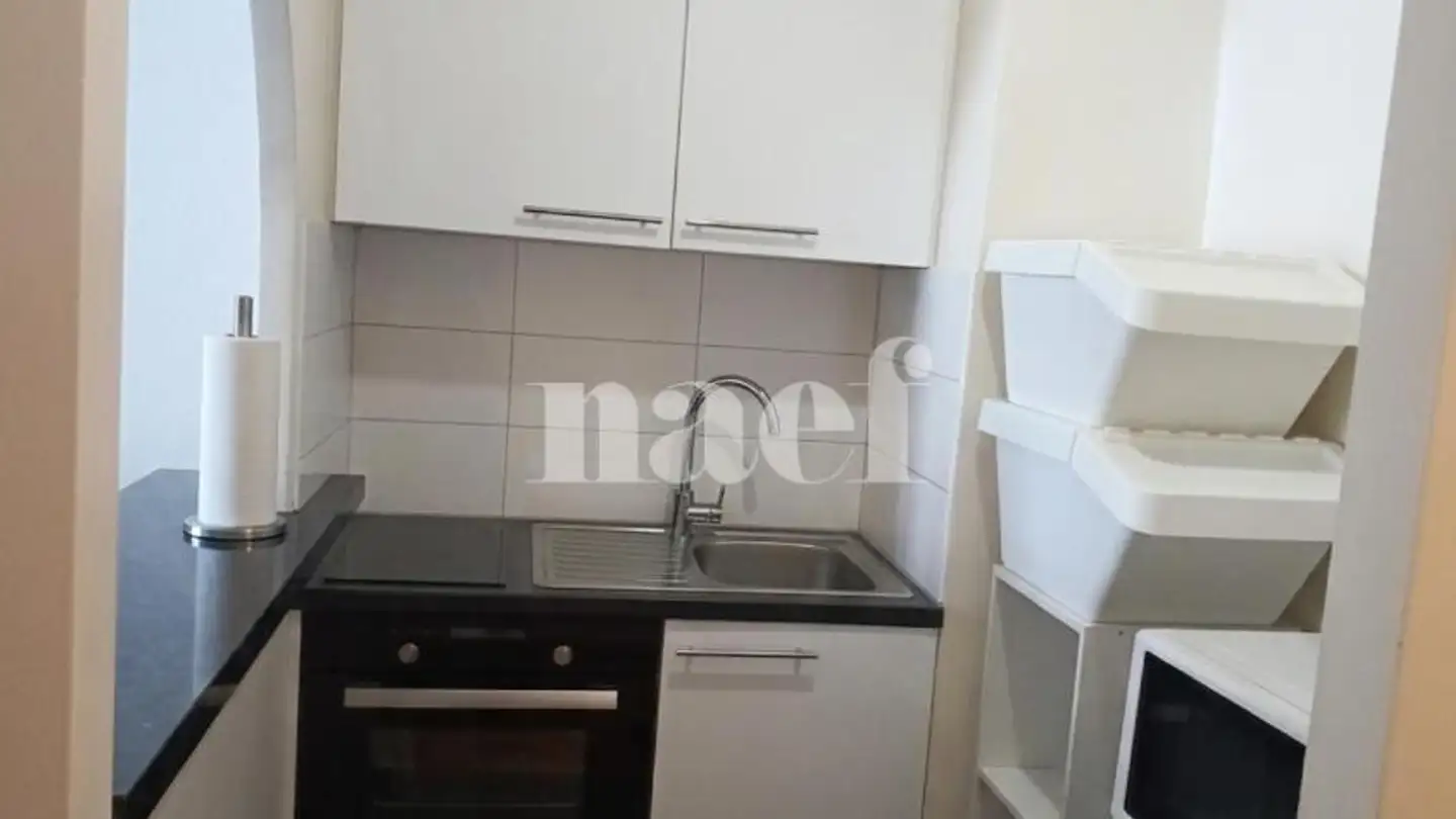 Studio for rent - Rue De Lyon 10, 1201 Genève - Photo 4
