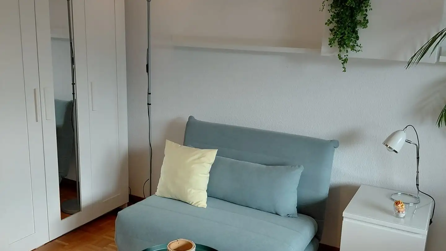 Furnished apartment for rent - 8125 Zollikerberg - Photo 2