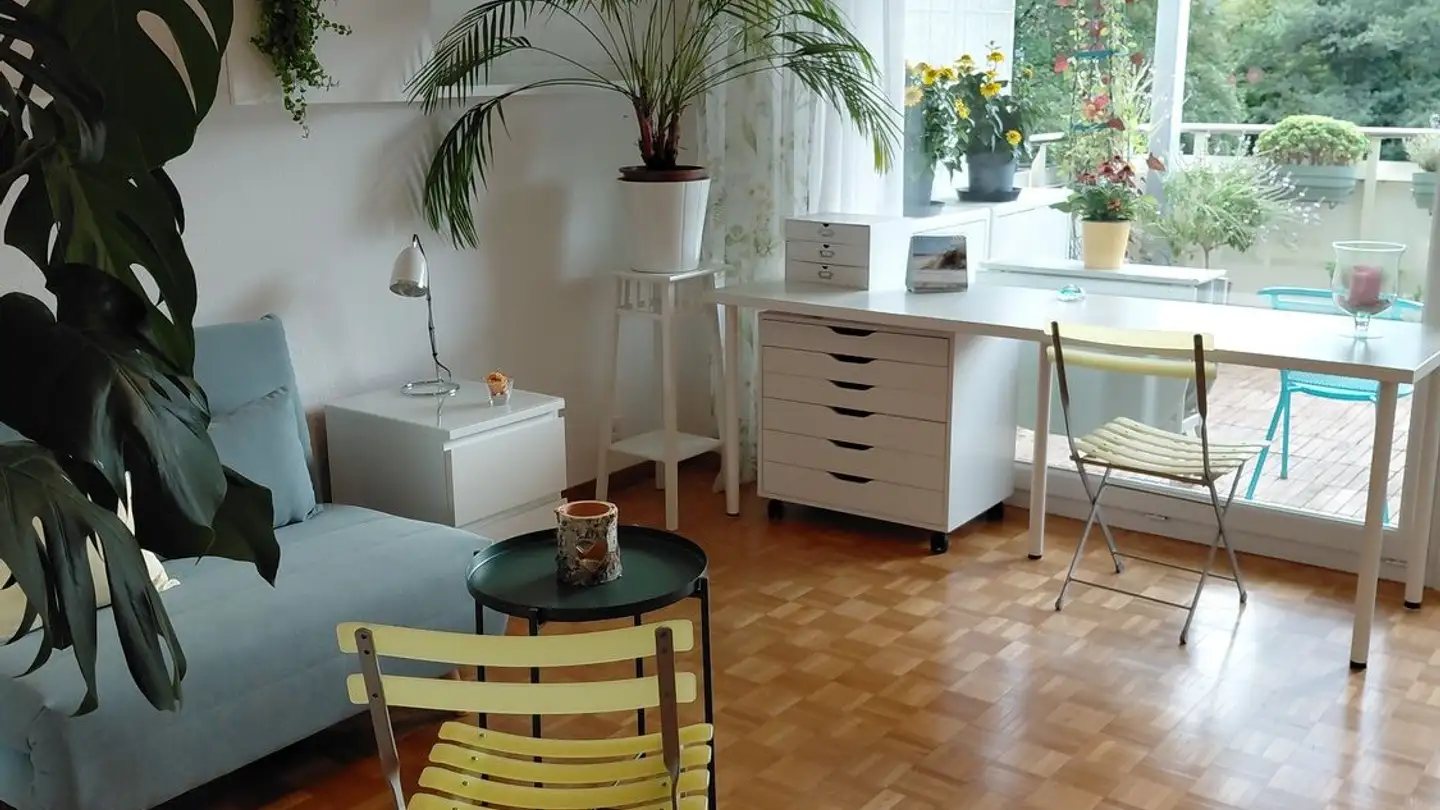 Furnished apartment for rent - 8125 Zollikerberg